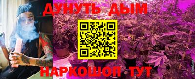 индика Мариинск