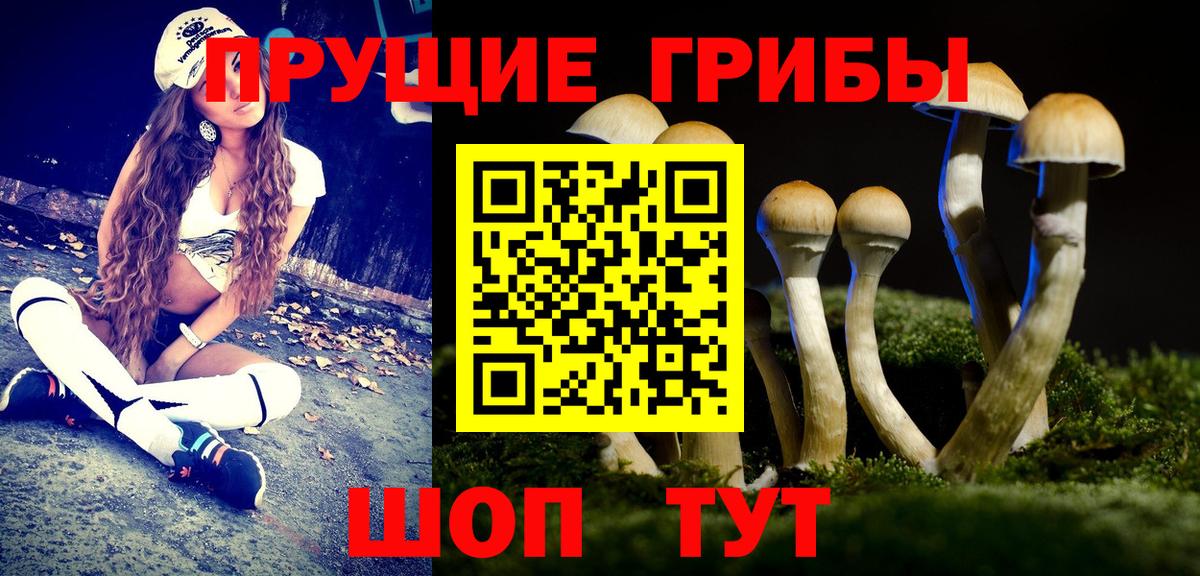 Галлюциногенные грибы Psilocybine cubensis Азов