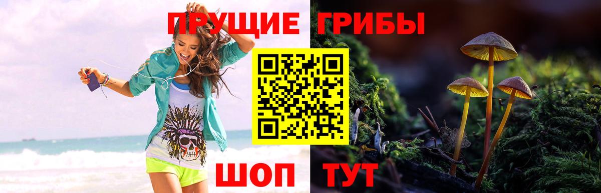 Псилоцибиновые грибы GOLDEN TEACHER  Вход с VPN  сколько стоит  Азов 